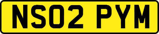 NS02PYM