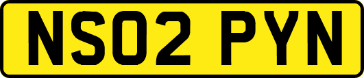 NS02PYN