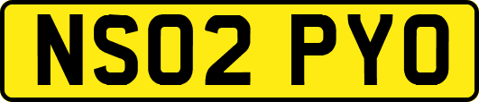 NS02PYO