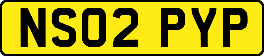 NS02PYP
