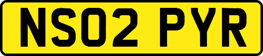NS02PYR