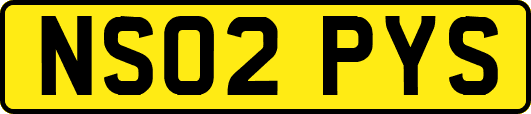 NS02PYS