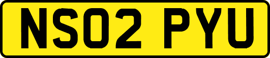 NS02PYU