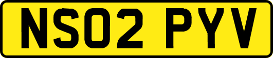 NS02PYV