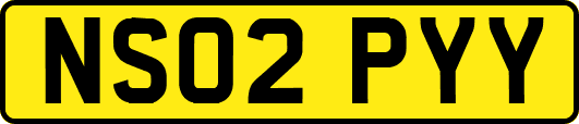 NS02PYY