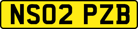 NS02PZB