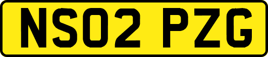NS02PZG