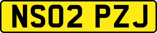 NS02PZJ