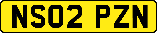NS02PZN