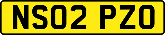 NS02PZO