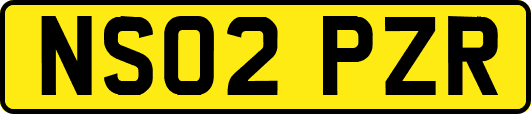 NS02PZR