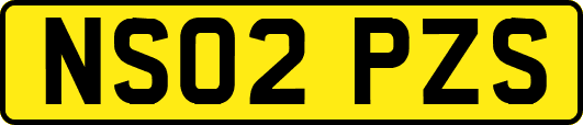 NS02PZS