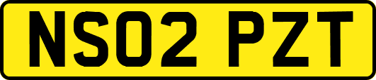 NS02PZT
