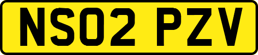 NS02PZV