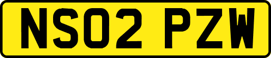 NS02PZW
