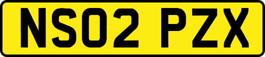 NS02PZX
