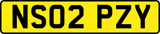 NS02PZY