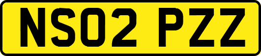 NS02PZZ