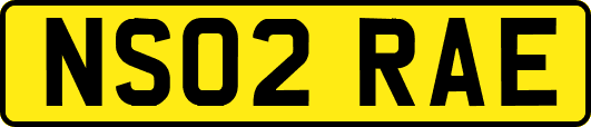 NS02RAE