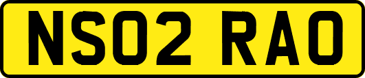 NS02RAO
