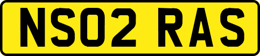 NS02RAS
