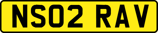NS02RAV