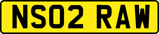 NS02RAW