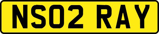 NS02RAY