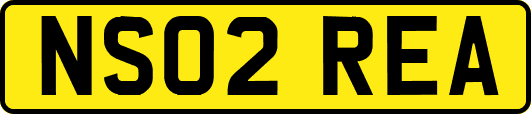 NS02REA