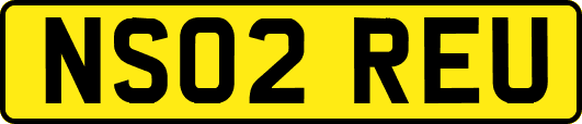 NS02REU