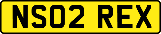 NS02REX