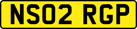 NS02RGP