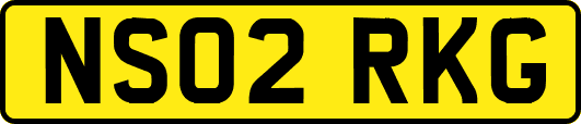 NS02RKG