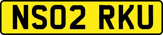 NS02RKU
