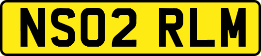 NS02RLM