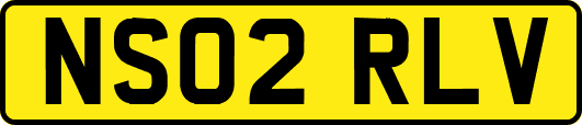 NS02RLV