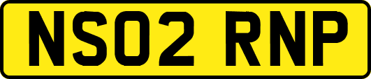 NS02RNP