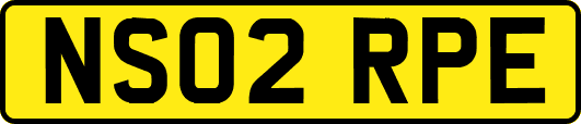 NS02RPE