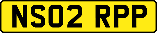 NS02RPP