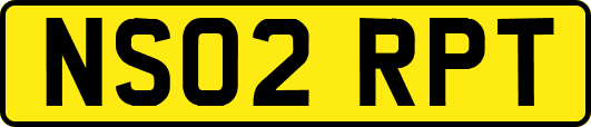NS02RPT