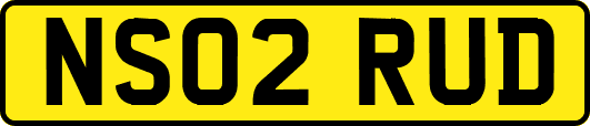 NS02RUD
