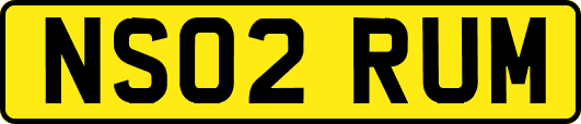 NS02RUM
