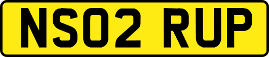 NS02RUP