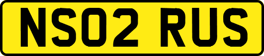 NS02RUS