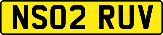 NS02RUV