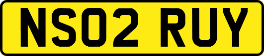 NS02RUY