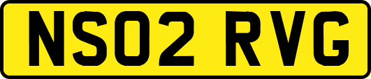 NS02RVG