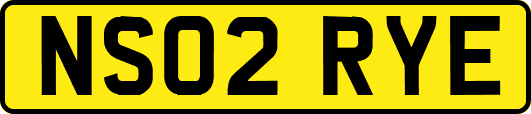 NS02RYE