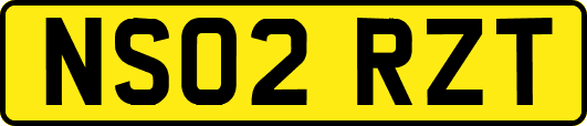 NS02RZT