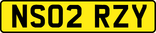 NS02RZY